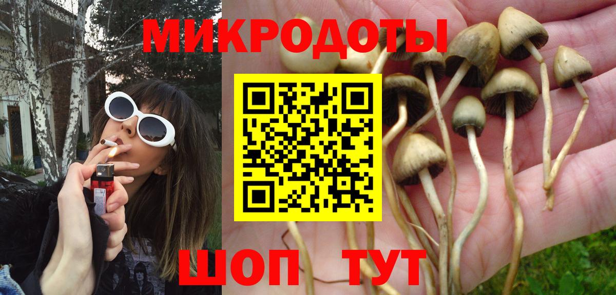 Галлюциногенные грибы MAGIC MUSHROOMS  Вход с VPN  Полевской 